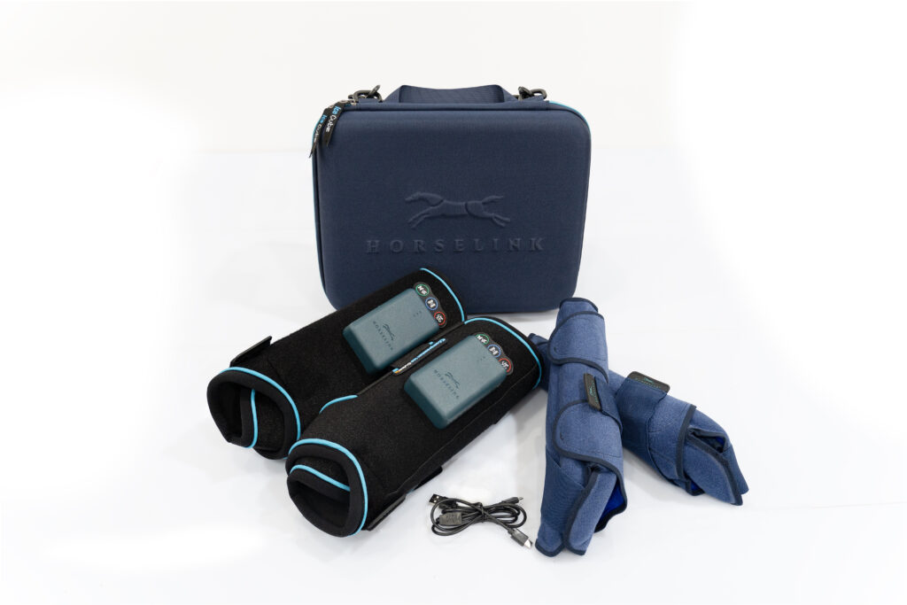 Horse wearing HorseLink compression ice cube therapy boots