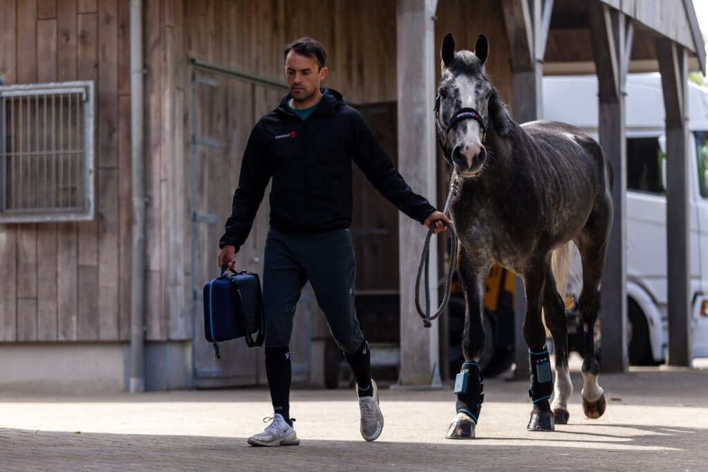 equine therapy boots modes