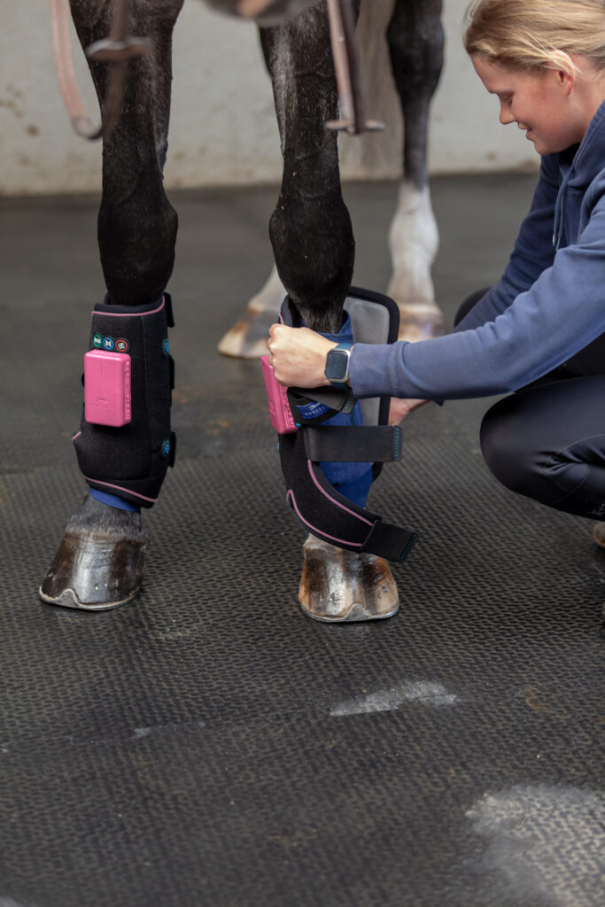 Cleaning horse legs andHorse wearing boots finished effect