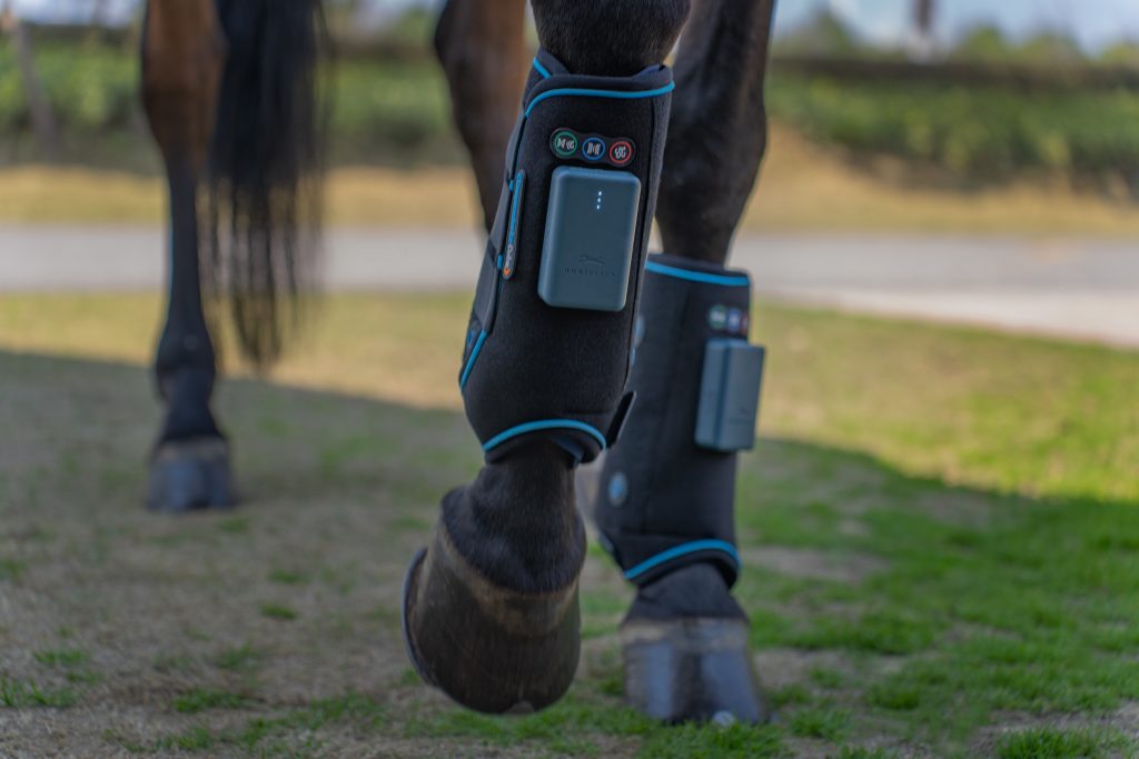 Horse wearing compression ice cube boots for recovery